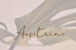 Ametrine: A Handcrafted Script Font That Makes Your Campaigns Instantly Clear