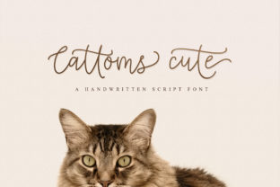 Cattoms Cute: A Handwritten Font That Feels Like a Gentle Smile