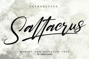 Discover the Power of Saltacrus in Your Digital Campaigns