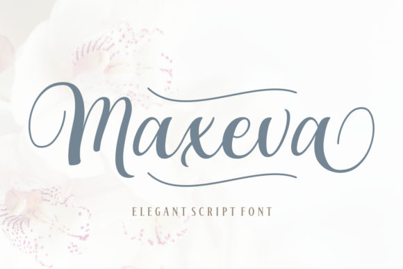 Maxeva: The Font That Elevates Your Campaigns
