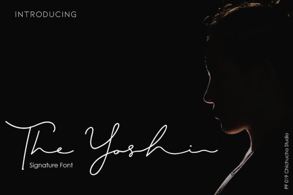 The Yoshi: A Font That Elevates Digital Design